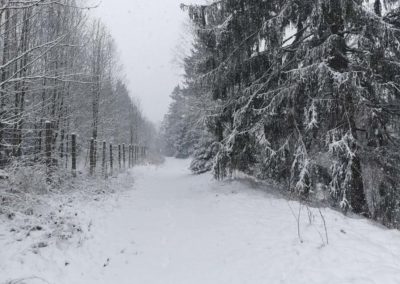 FeWo-Harz-Altenau-Winter-Schnee_0001