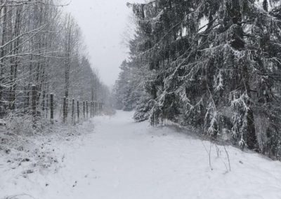 FeWo-Harz-Altenau-Winter-Schnee_0002