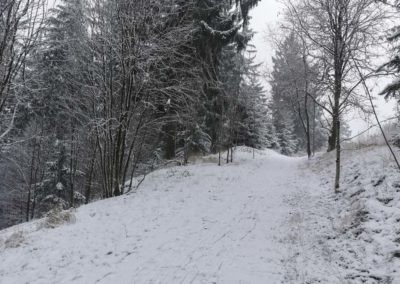 FeWo-Harz-Altenau-Winter-Schnee_0003