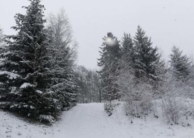 FeWo-Harz-Altenau-Winter-Schnee_0005