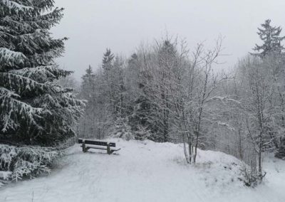 FeWo-Harz-Altenau-Winter-Schnee_0006