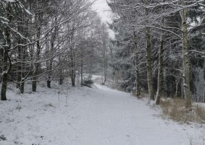 FeWo-Harz-Altenau-Winter-Schnee_0007