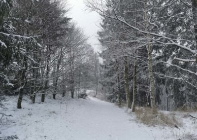 FeWo-Harz-Altenau-Winter-Schnee_0008