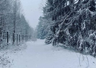 FeWo-Harz-Altenau-Winter-Schnee_0011